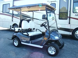 2010 Zone Electric Car / Cart For Sale