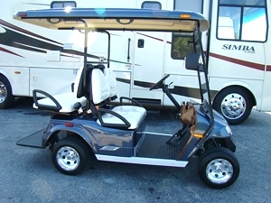 2010 Zone Electric Car / Cart For Sale